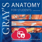 gray's anatomy flash cards android application logo